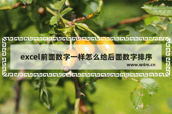 excel前面数字一样怎么给后面数字排序