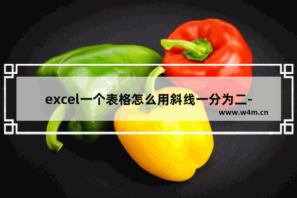 excel一个表格怎么用斜线一分为二-