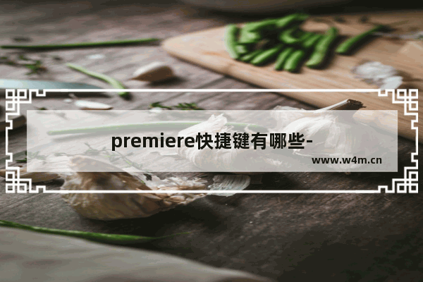 premiere快捷键有哪些-