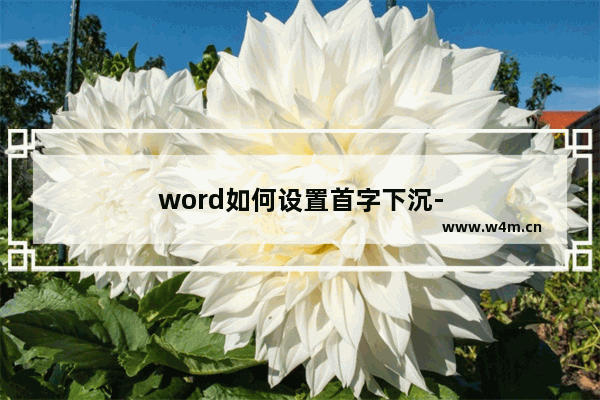 word如何设置首字下沉-