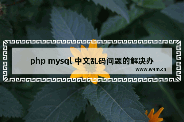 php mysql 中文乱码问题的解决办法-