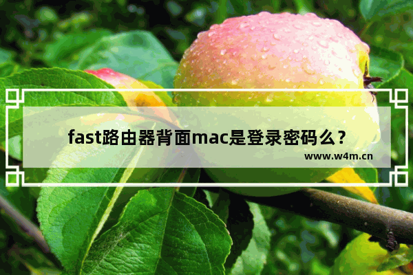 fast路由器背面mac是登录密码么？