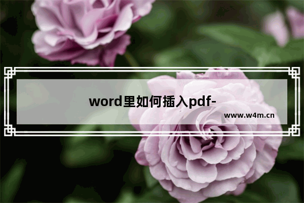 word里如何插入pdf-