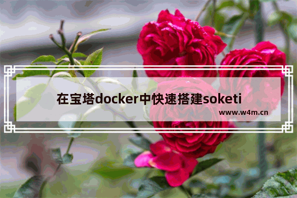 在宝塔docker中快速搭建soketi服务-