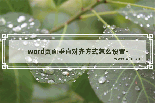 word页面垂直对齐方式怎么设置-