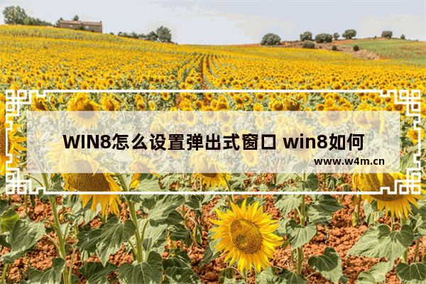 WIN8怎么设置弹出式窗口 win8如何屏蔽弹窗广告