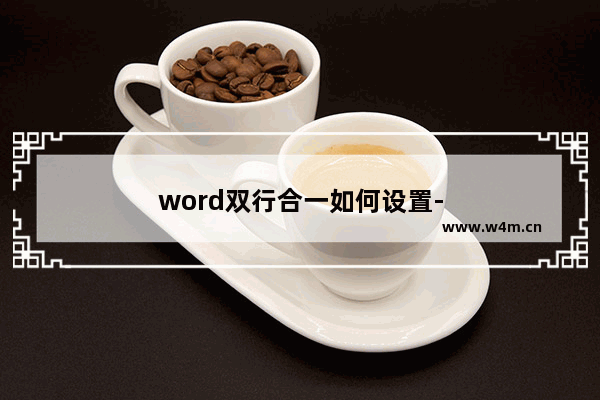 word双行合一如何设置-