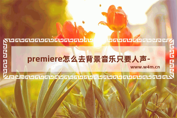 premiere怎么去背景音乐只要人声-