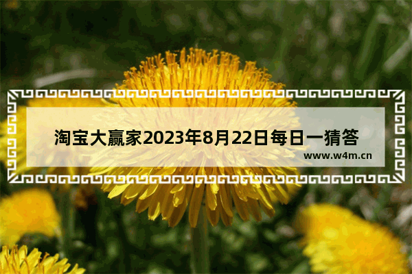 淘宝大赢家2023年8月22日每日一猜答案