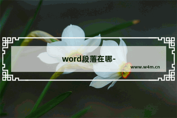 word段落在哪-