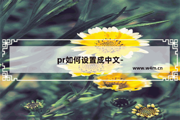 pr如何设置成中文-