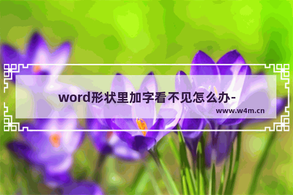 word形状里加字看不见怎么办-