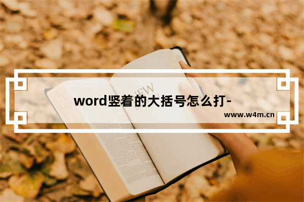 word竖着的大括号怎么打-