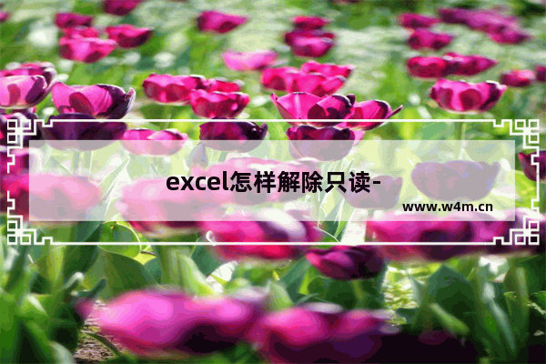 excel怎样解除只读-