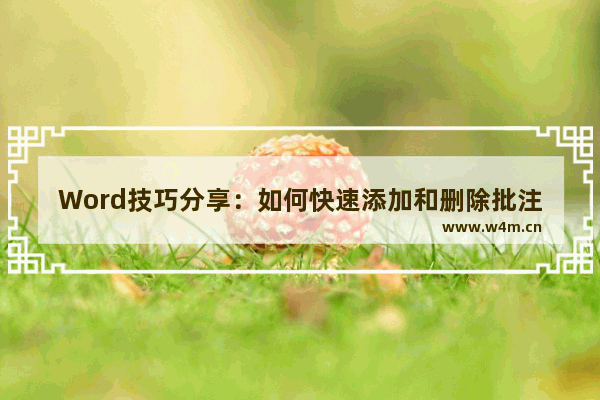 Word技巧分享：如何快速添加和删除批注？-