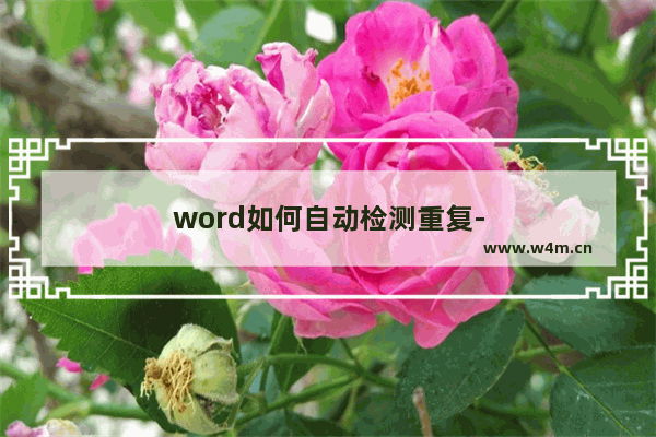 word如何自动检测重复-