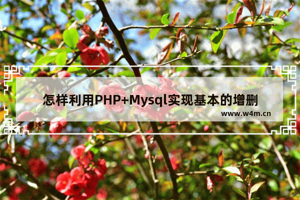 怎样利用PHP+Mysql实现基本的增删改查功能？ 实例详解-