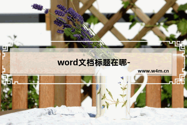 word文档标题在哪-