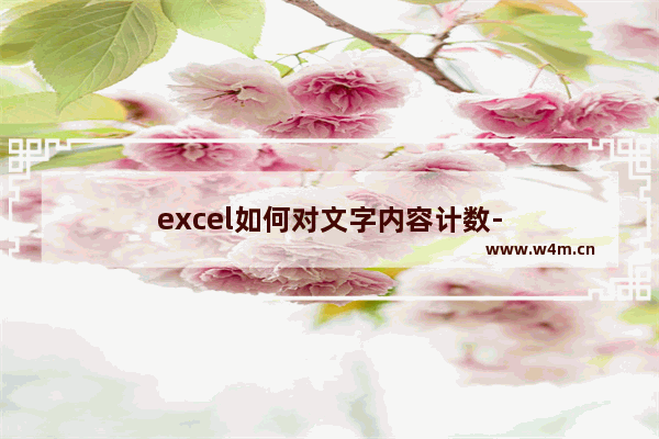 excel如何对文字内容计数-