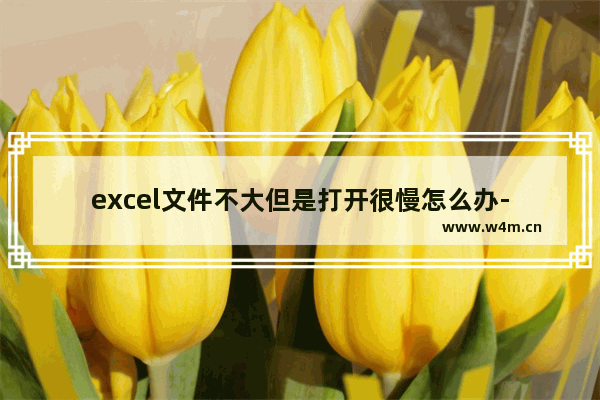 excel文件不大但是打开很慢怎么办-