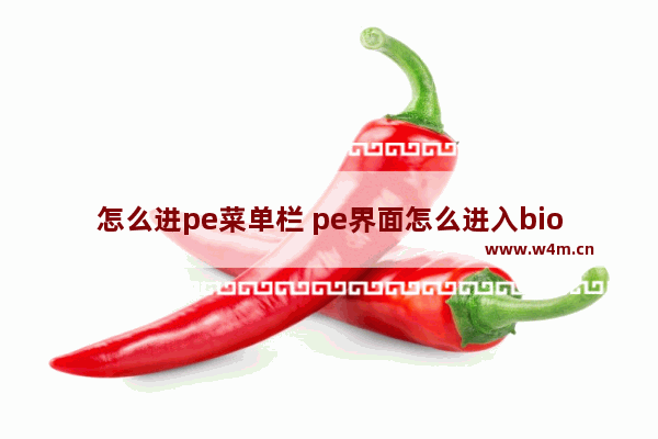 怎么进pe菜单栏 pe界面怎么进入bios