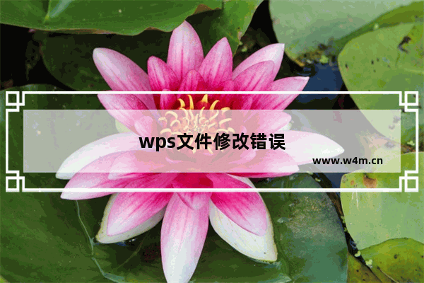 wps文件修改错误