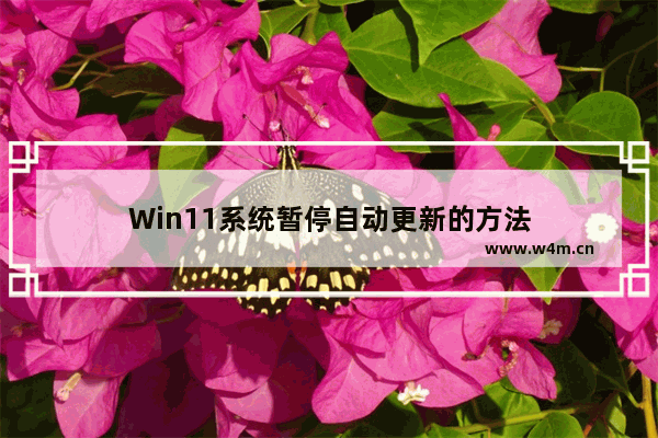 Win11系统暂停自动更新的方法