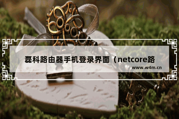 磊科路由器手机登录界面（netcore路由器设置网址）