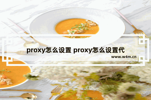 proxy怎么设置 proxy怎么设置代理网络