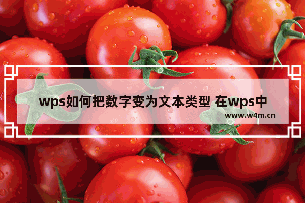 wps如何把数字变为文本类型 在wps中如何将数字变为文本类型