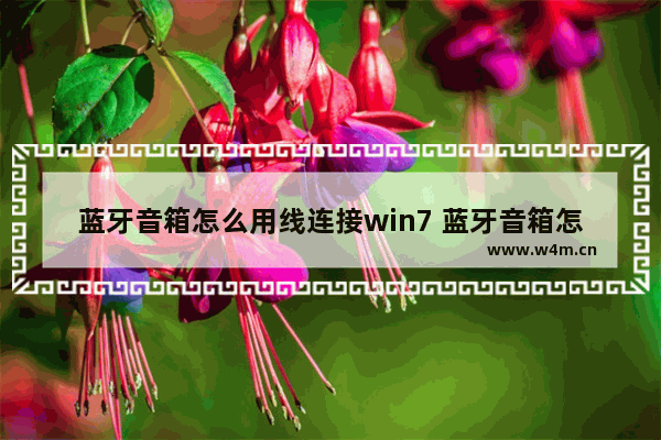 蓝牙音箱怎么用线连接win7 蓝牙音箱怎么用线连接手机