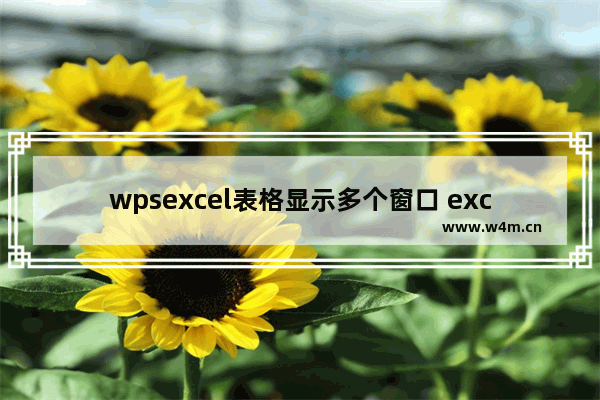 wpsexcel表格显示多个窗口 excel表格同时显示多个窗口