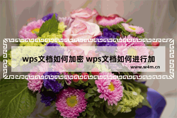 wps文档如何加密 wps文档如何进行加密操作