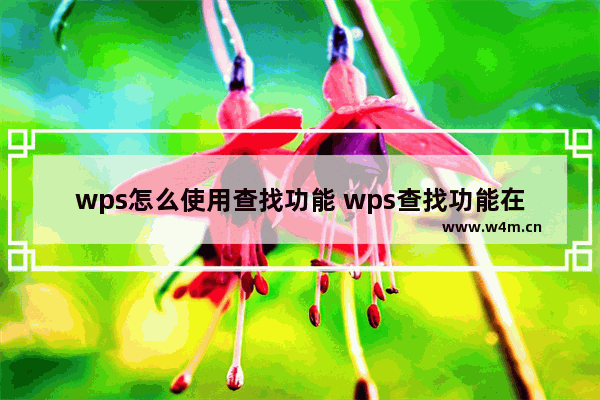 wps怎么使用查找功能 wps查找功能在哪里快捷键