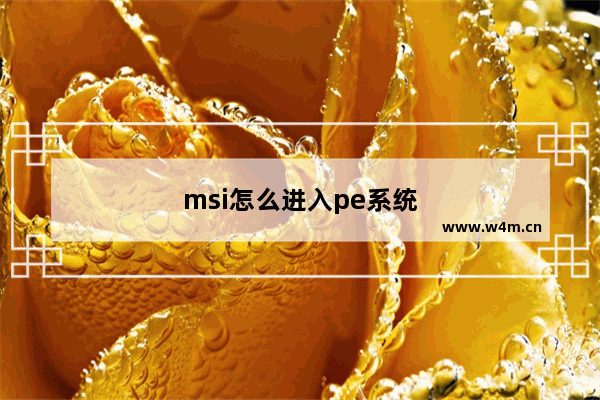 msi怎么进入pe系统