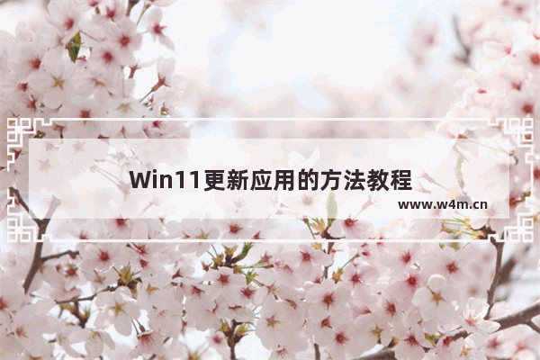 Win11更新应用的方法教程