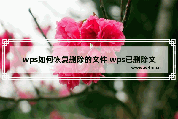 wps如何恢复删除的文件 wps已删除文件如何找回