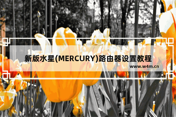 新版水星(MERCURY)路由器设置教程(mercury路由器怎么设置登录网址是什么)