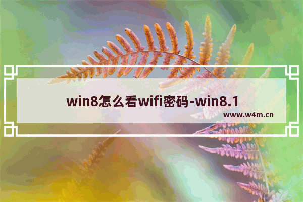 win8怎么看wifi密码-win8.1查看无线密码的方法