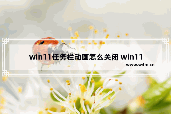 win11任务栏动画怎么关闭 win11任务栏动画关闭步骤