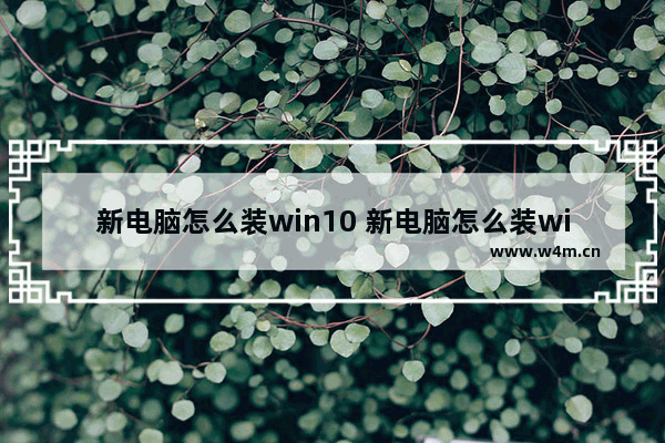 新电脑怎么装win10 新电脑怎么装win11