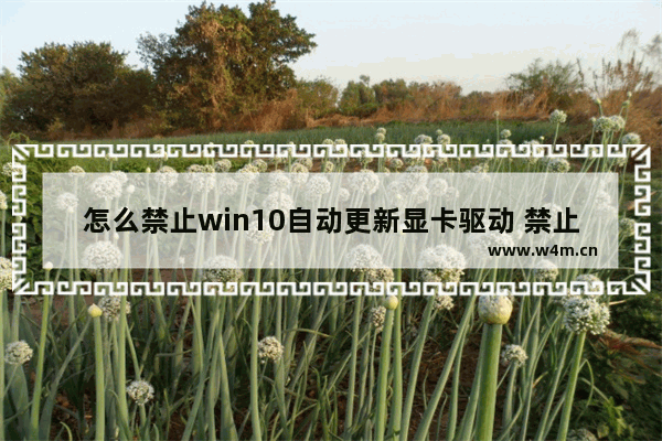 怎么禁止win10自动更新显卡驱动 禁止win10自动更新显卡驱动方法介绍