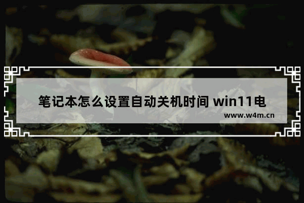 笔记本怎么设置自动关机时间 win11电脑怎么设置定时关机