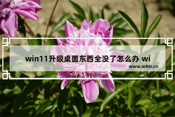 win11升级桌面东西全没了怎么办 win11升级桌面东西全没了解决办法