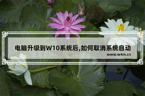 电脑升级到W10系统后,如何取消系统自动更新-