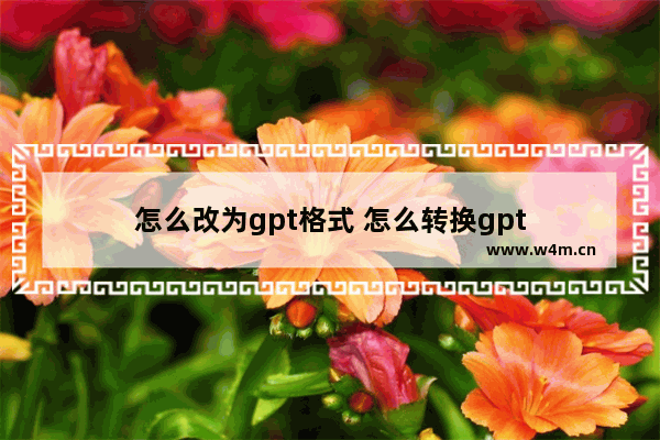 怎么改为gpt格式 怎么转换gpt