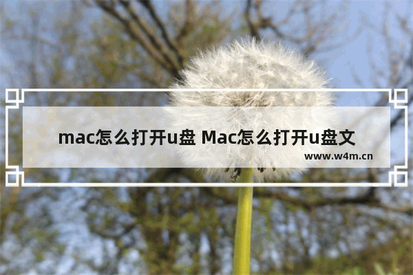 mac怎么打开u盘 Mac怎么打开u盘文件