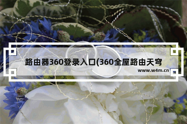 路由器360登录入口(360全屋路由天穹说明书)