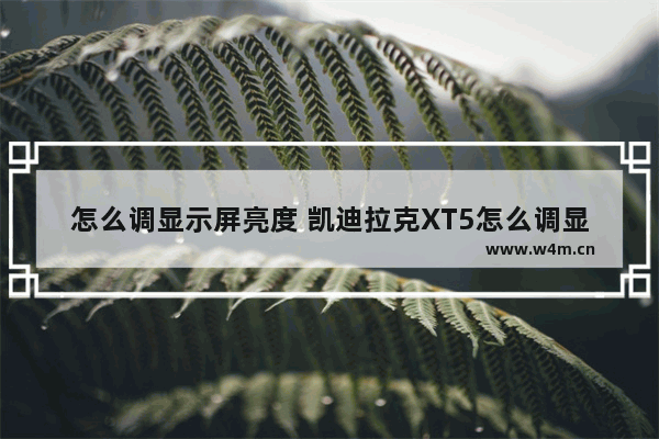 怎么调显示屏亮度 凯迪拉克XT5怎么调显示屏亮度