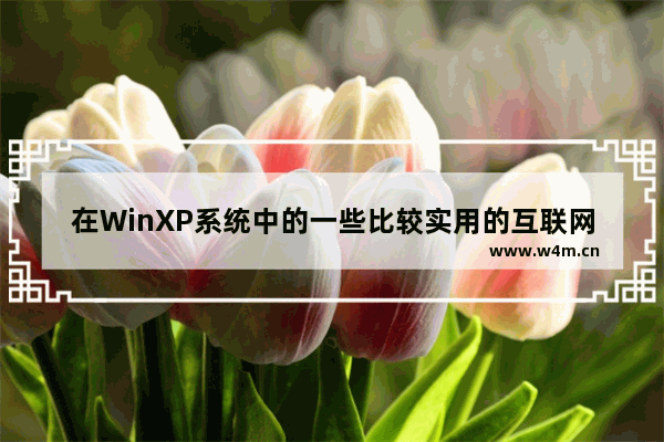 在WinXP系统中的一些比较实用的互联网技巧